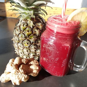 Photo de TerraVega, membre de Bout à Bout, réseau de réemploi des bouteilles en verre en Pays de la Loire